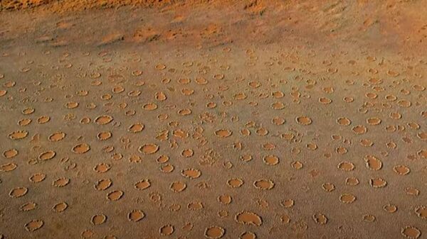 Vilinski krugovi u pustinji Namib - Sputnik Srbija