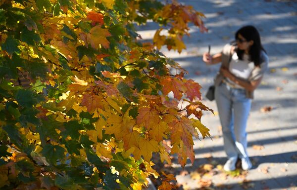 Девојка у шетњи Воробјовским кејом у Москви. Девојка у шетњи Воробјовским кејом у Москви. - Sputnik Србија