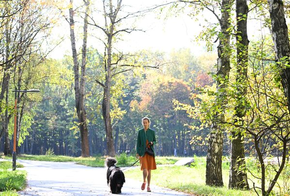 Девојка са псом током одмора на територији музеја-имања Кусково у Москви. Девојка са псом током одмора на територији музеја-имања Кусково у Москви. - Sputnik Србија