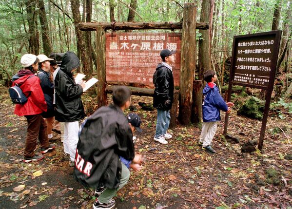 Aokigahara u Japanu - mračna, gusta šuma u ​​podnožju planine Fudži na ostrvu Honšu. Kompasi ovde ne rade, a meštani tvrde da je šuma puna duhova. - Sputnik Srbija