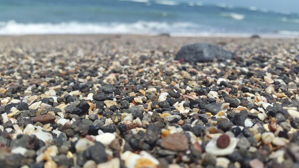 Каменчићи на плажи - Sputnik Србија