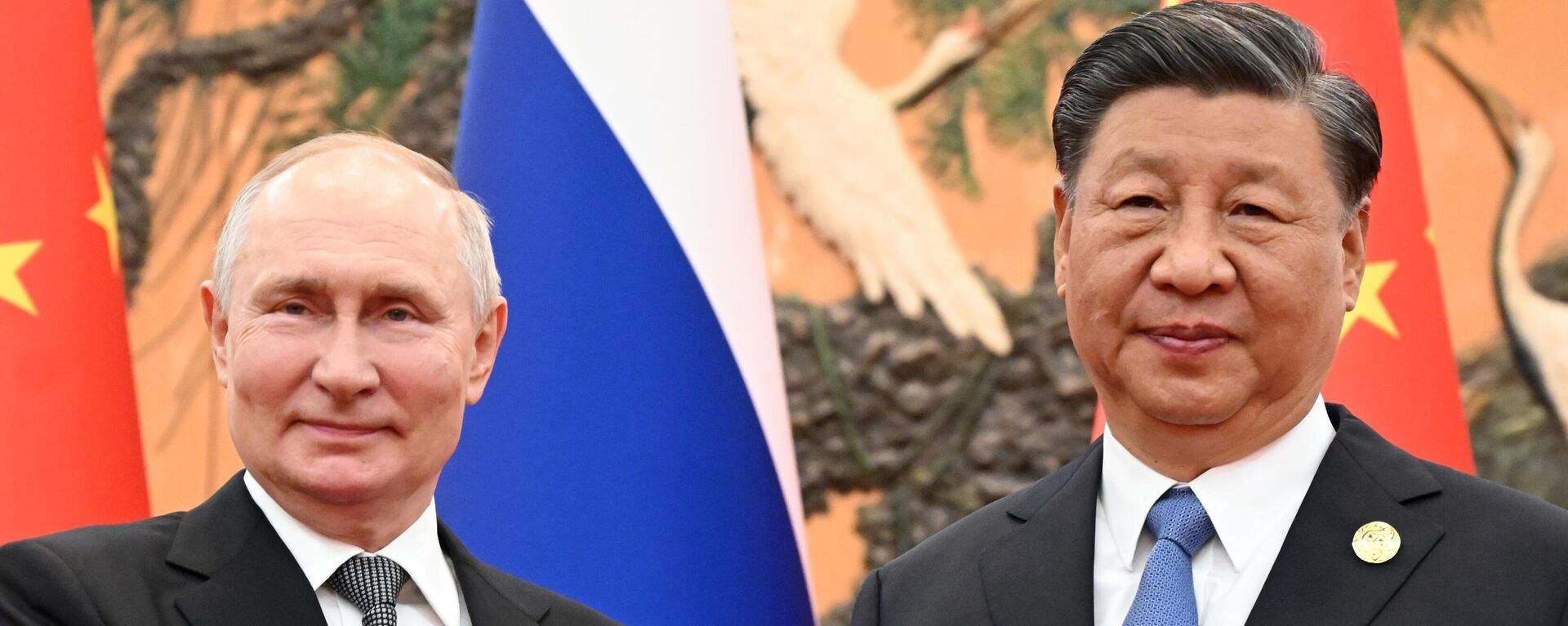 Predsednici Rusije i Kine Vladimir Putin i Si Đinping - Sputnik Srbija, 1920, 15.05.2024