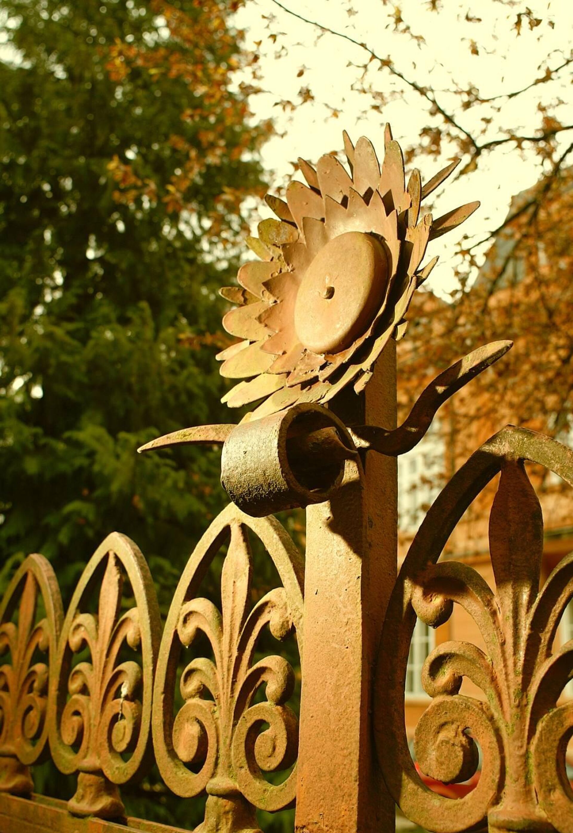 Suncokret na ogradi oko zgrade Ruskog poslanstva na Cetinju Suncokret na ogradi oko zgrade Ruskog poslanstva na Cetinju - Sputnik Srbija, 1920, 23.10.2023