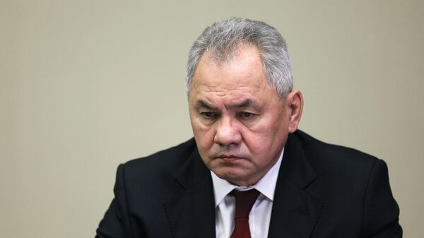 Ministar odbrane Rusije Sergej Šojgu - Sputnik Srbija