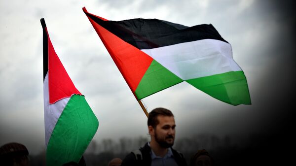 Палестинске заставе на скупу подршке Палестини - Sputnik Србија