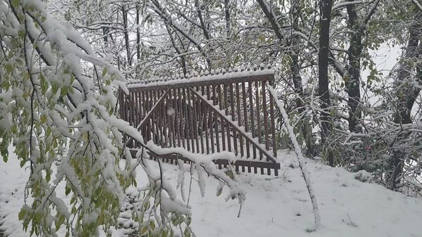 Sneg na teritoriji opštine Lučani - Sputnik Srbija