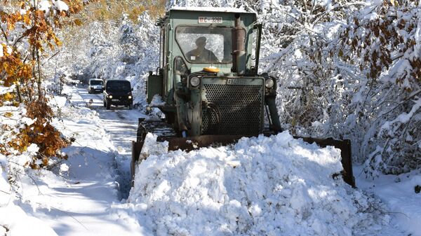 Vojska Srbije pruža pomoć civilnim vlastima u otklanjanju posledica obilnih snežnih padavina - Sputnik Srbija