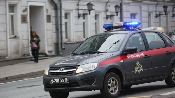 Полицијско возило - Sputnik Србија