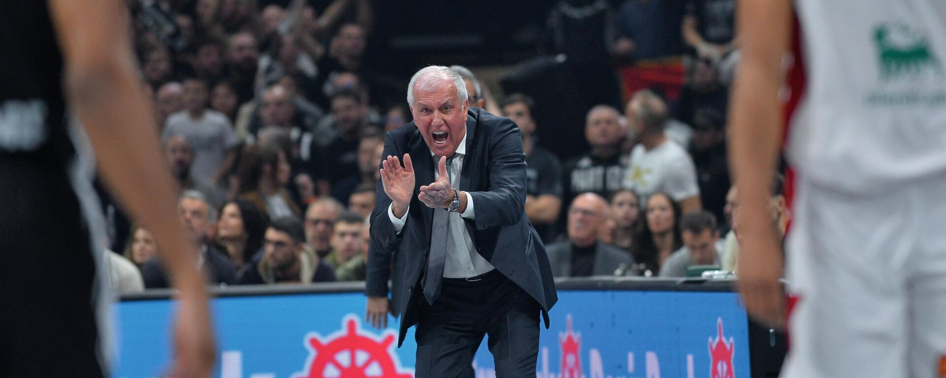 Жељко Обрадовић током утакмице Партизан - Олимпија Милано  - Sputnik Србија, 1920, 06.04.2025