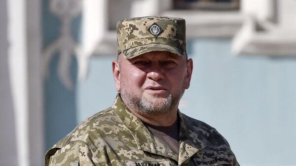 Glavnokomandujući Oružanim snagama Ukrajine Valerij Zalužni - Sputnik Srbija