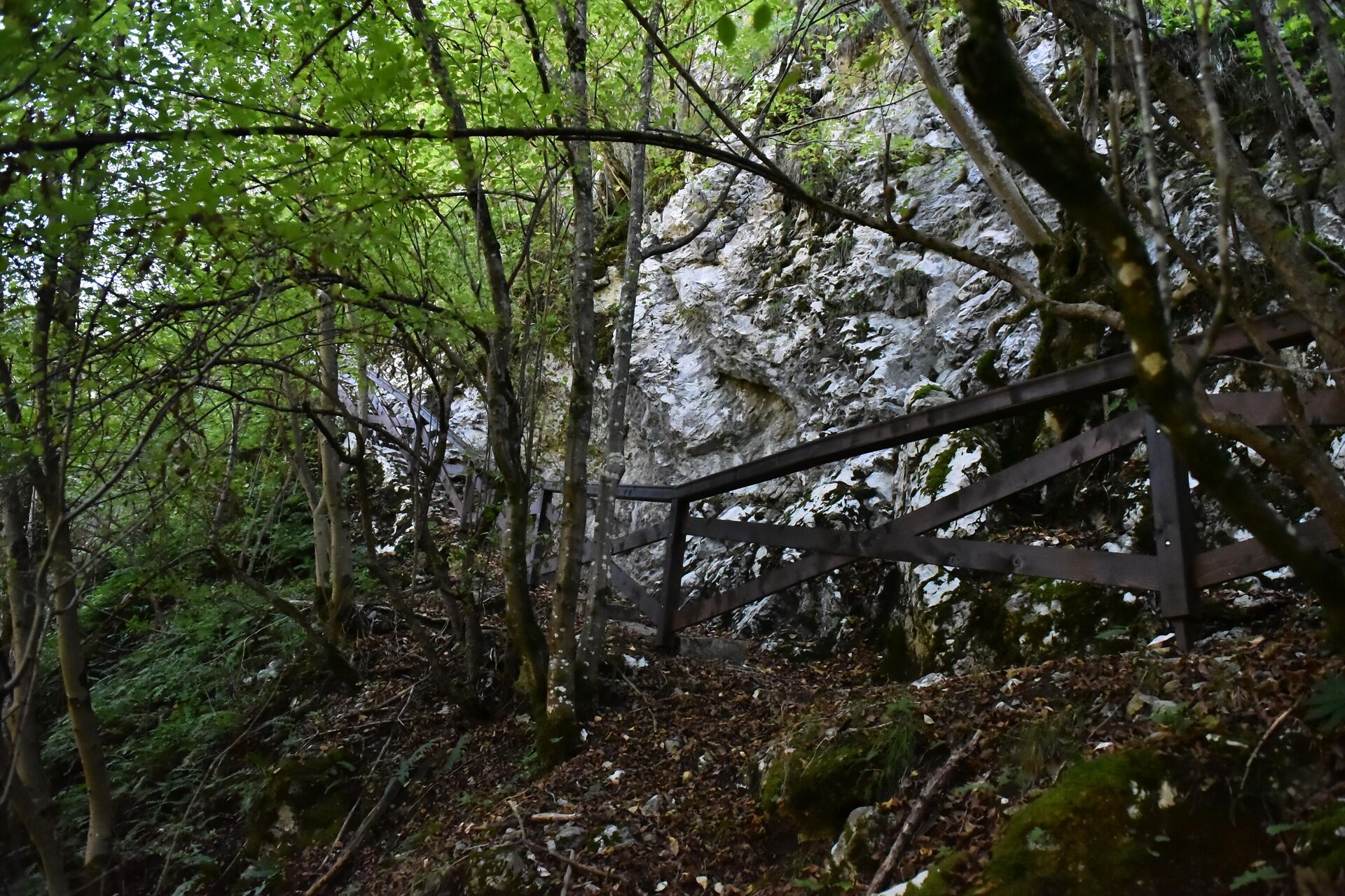 Прилаз пећини је уређен пред почетак Другог светског рата. Поновно уређење пећине и приступа до ње је извршено 1991. године - Sputnik Србија, 1920, 04.01.2024