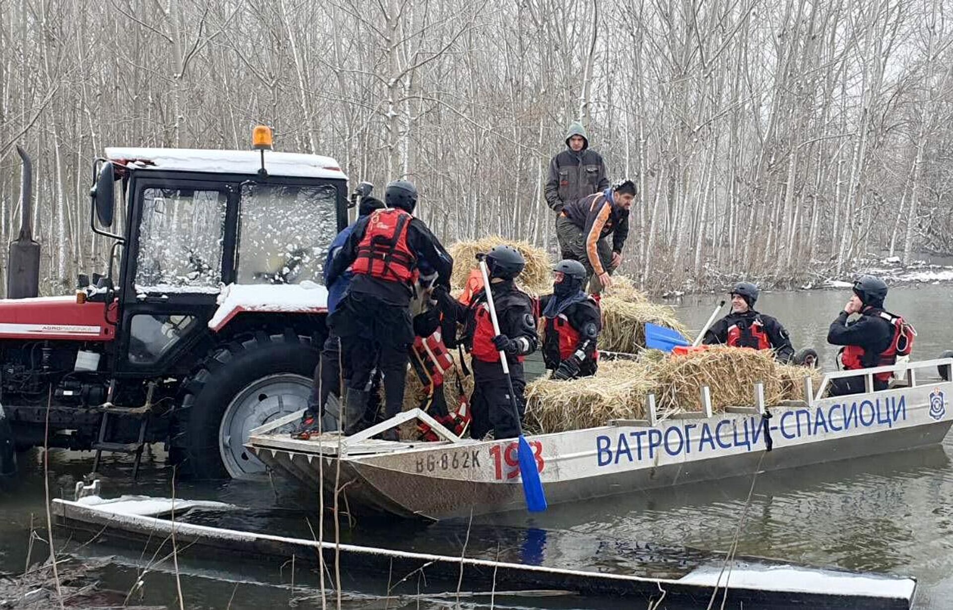 Pripadnici MUP-a Srbije odneli hranu životinjama zarobljenim na Krčedinskoj adi - Sputnik Srbija, 1920, 08.01.2024