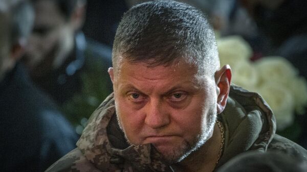Commander-in-Chief of Ukraine's Armed Forces Valery Zaluzhny  - Sputnik Србија
