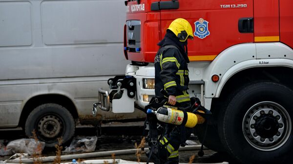 Vatrogasac ispred vatrogasnog vozila - Sputnik Srbija