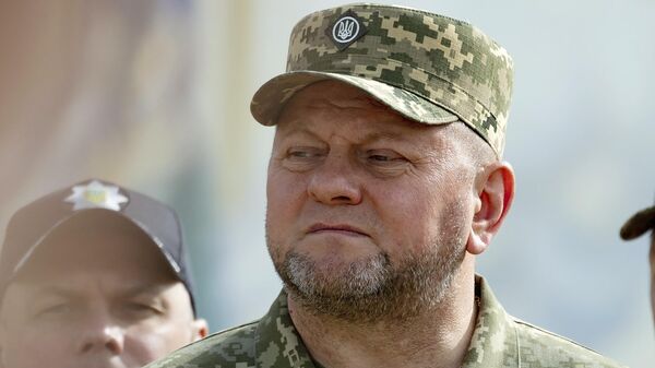 Načelnik Generalštaba Oružanih snaga Ukrajine Valerij Zalužni - Sputnik Srbija