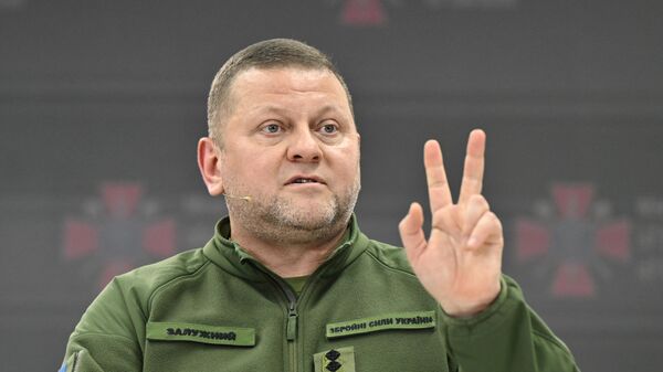 Glavnokomandujući Oružanih snaga Ukrajine Valerij Zalužni - Sputnik Srbija