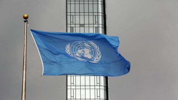 Zastava UN - Sputnik Srbija