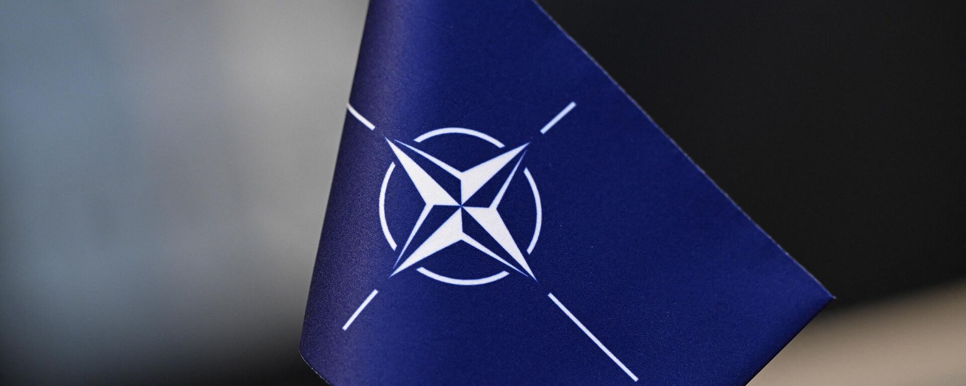 Zastava sa logom NATO-a - Sputnik Srbija, 1920, 03.03.2024