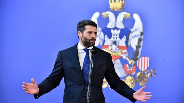 Александар Шапић - Sputnik Србија