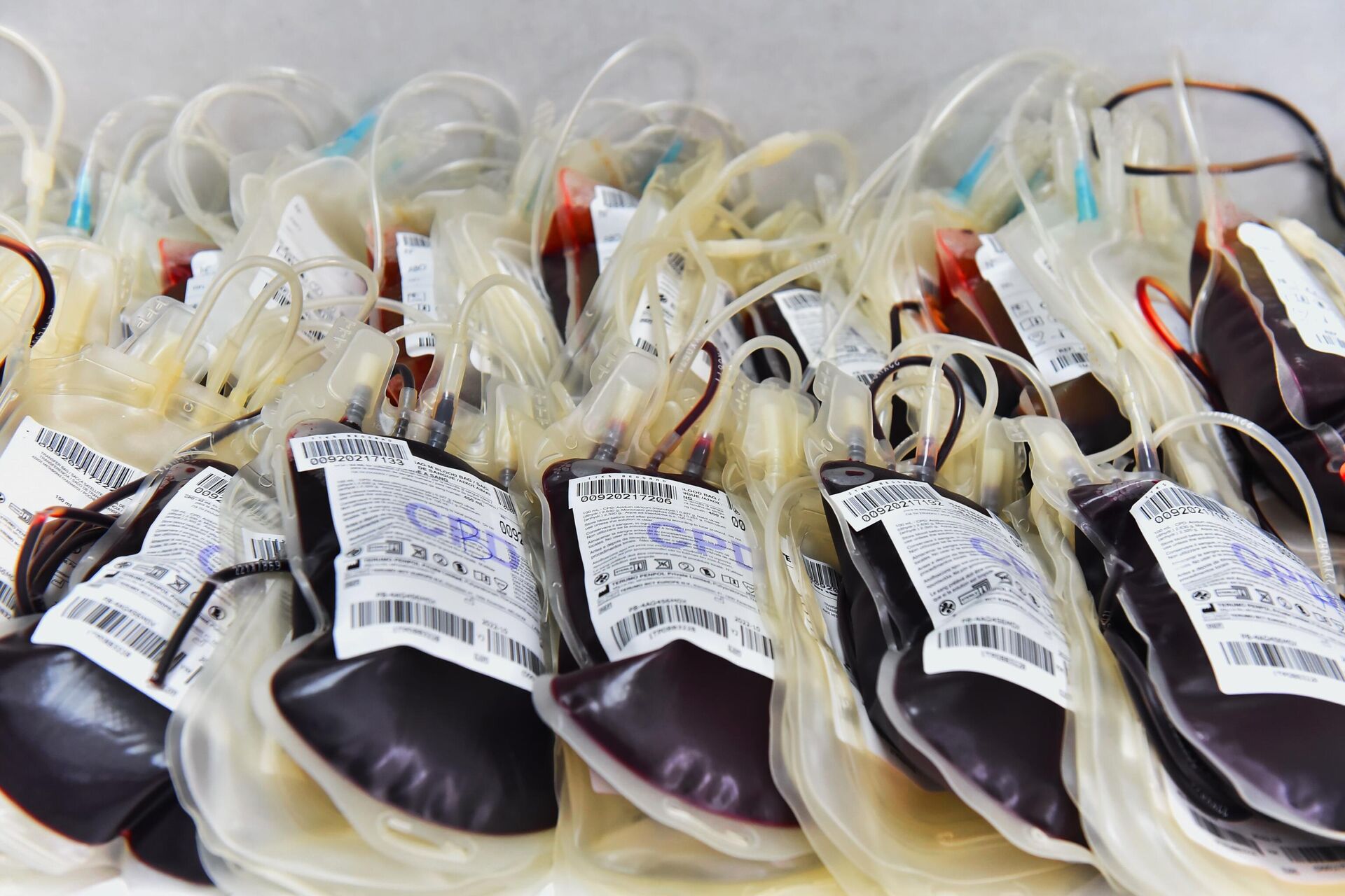 Institut za transfuziju krvi Srbije najčešće raspolaže jednoipodnevnim rezervama krvi, a najdeficitarnija je O krvna grupa (pozitivna i negativna)  - Sputnik Srbija, 1920, 08.03.2024