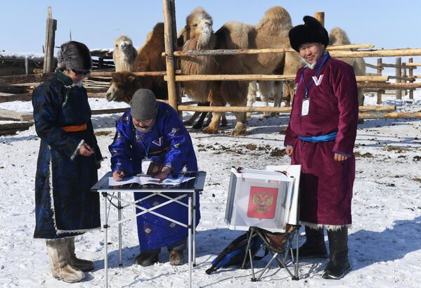 Rukovodilac pastirskog katuna Aida Erendej učestvuje u prevremenom glasanju na privremenim staništima nomada Kat Išti, nekoliko kilometara od rusko-mongolske granice u Tes-Hemskom rejonu Republike Tiva. - Sputnik Srbija