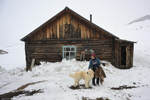 Žena sa psom na udaljenom stočnom mestu u regionu Koš-Agač u Republici Altaj. - Sputnik Srbija