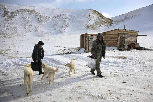 Članovi okružne izborne komisije u pastirskom kampu u planinama okruga Koš-Agač u Republici Altaj. - Sputnik Srbija