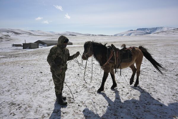 Pastir sa konjem u blizini pastirskog kampa u planinama regiona Koš-Agač u Republici Altaj. - Sputnik Srbija