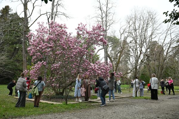 Ljudi poziraju kod drveta procvetale magnolije u parku u Sočiju. - Sputnik Srbija