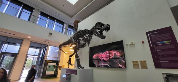 Replike dinosaurusa u centru su u prirodnoj veličini. - Sputnik Srbija