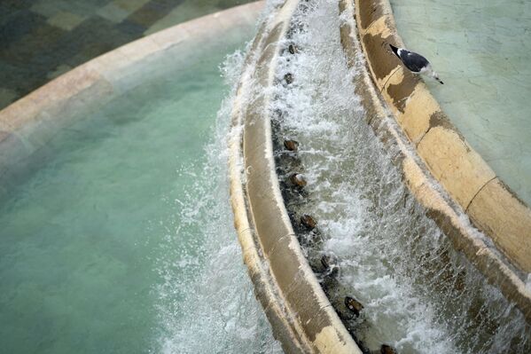 Галеб пије воду из монументалне фонтане Аламеда у Лисабону, четвртак, 21. март 2024. - Sputnik Србија