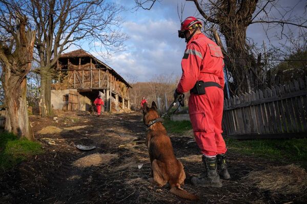 Timove čini 18 vatrogasaca-spasilaca sa 5 terenskih vozila i spasilačkim psom, saopštio je MUP. - Sputnik Srbija