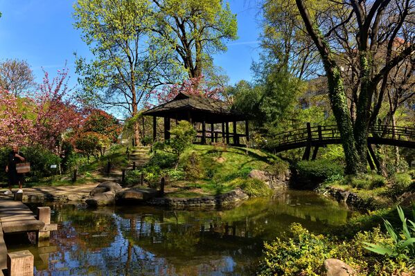 Јапански врт представља јединствену оазу у склопу Ботаничке баште која на најлепши начин приближава дух Истока свим посетиоцима. - Sputnik Србија