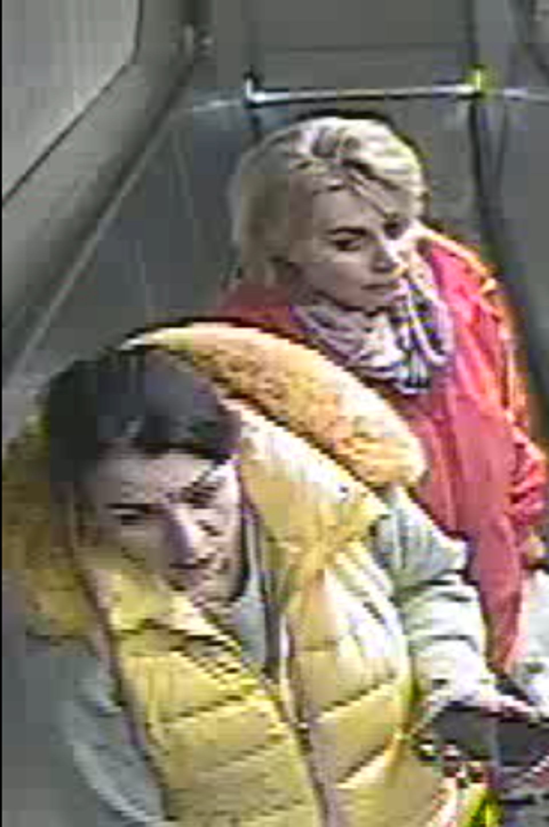 Bečka policija zatražila je po nalogu javnog tužioca Austrije objavljivanje novih fotografija na kojima se vidi devojčica koja liči na nestalu Danku Ilić - Sputnik Srbija, 1920, 03.04.2024