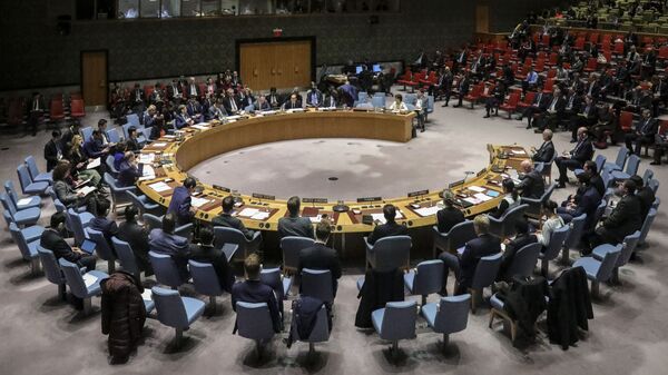 Заседание Совета безопасности ООН в Нью-Йорке - Sputnik Србија