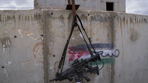 Dve puške M-16 okačene na zidu sa grafitom sa palestinskom zastavom - Sputnik Srbija