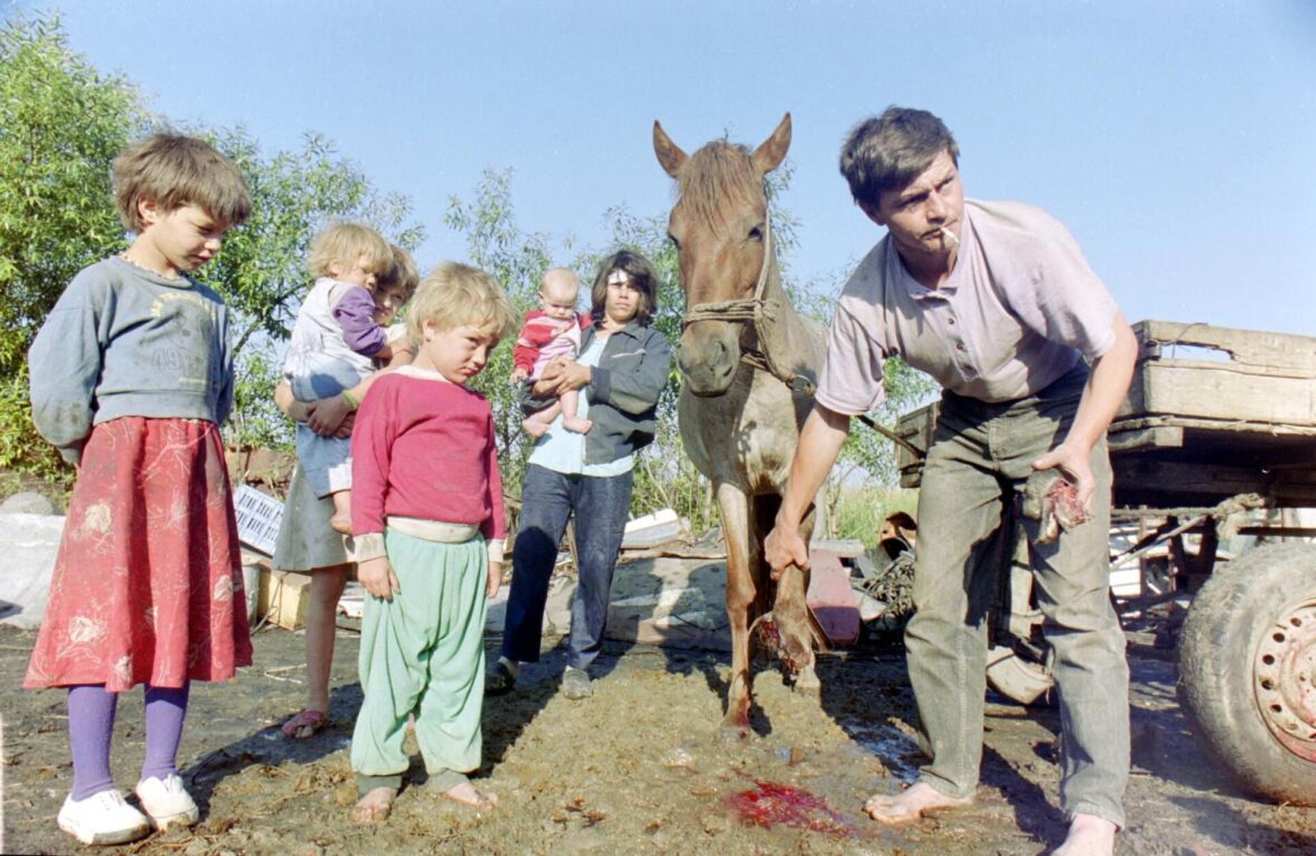 Рањени коњ, Панчево -  за Јовановића једна од најпотреснијих сцена које је забележио током НАТО бомбардовања - Sputnik Србија, 1920, 30.04.2024