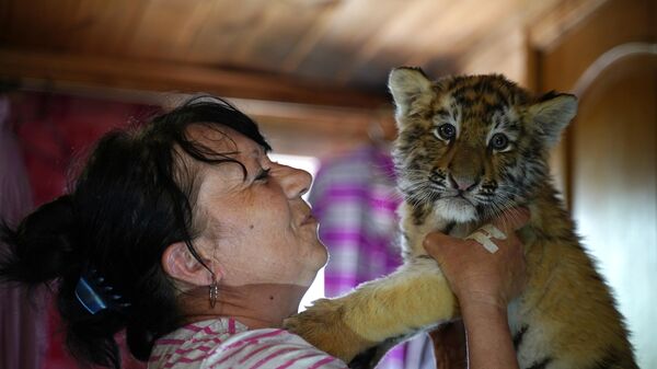 Сотрудница зоопарка с тигренком в одном из помещений Мариупольского зоопарка - Sputnik Србија