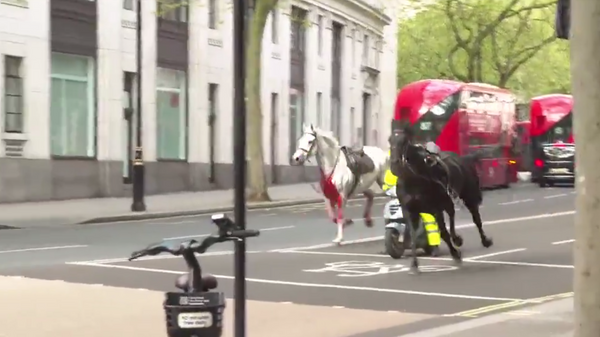 Коњи на улицама Лондона - Sputnik Србија