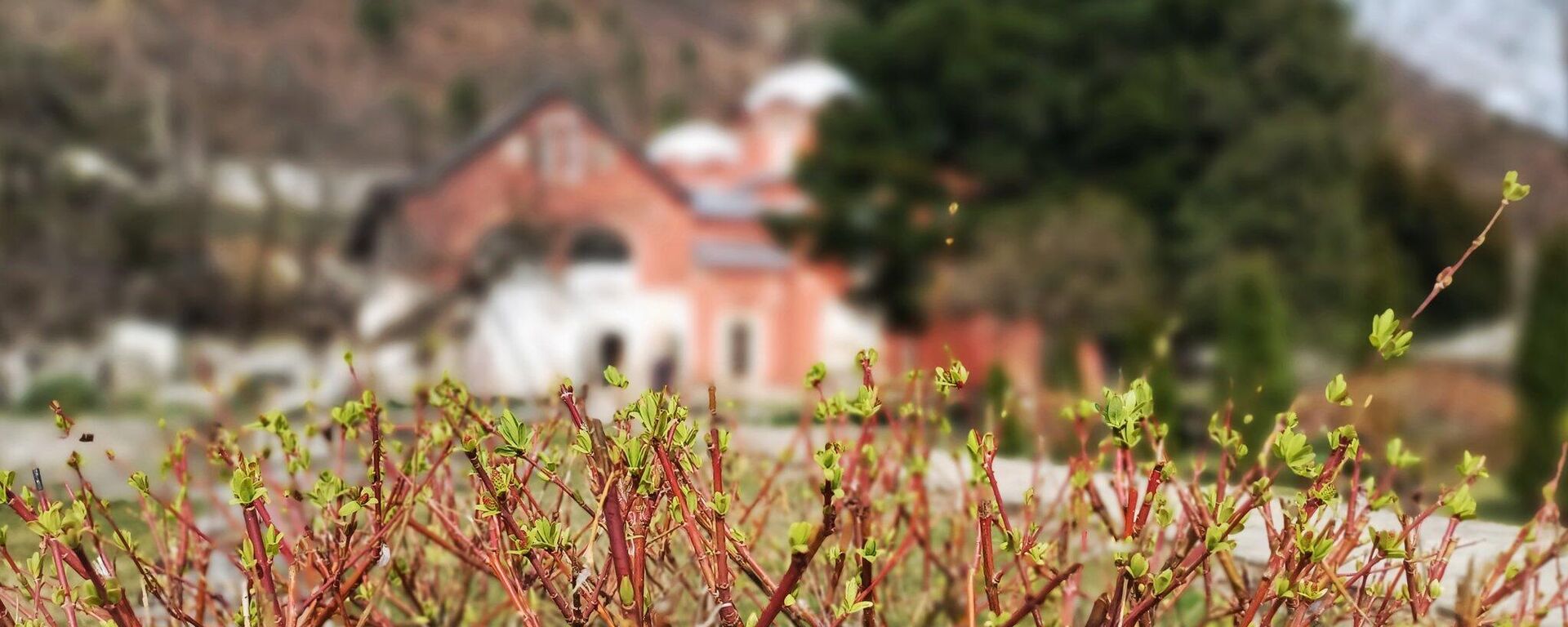 Пећка патријаршија Пећка патријаршија - Sputnik Србија, 1920, 02.04.2026