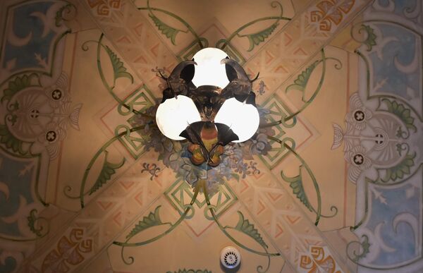 Lusteri, koji se savršeno uklopaju sa dekorativnom tavanicom, govore u prilog tome da se pri uređenju  naučnikovog doma vodilo računa o sitnim detaljima - Sputnik Srbija