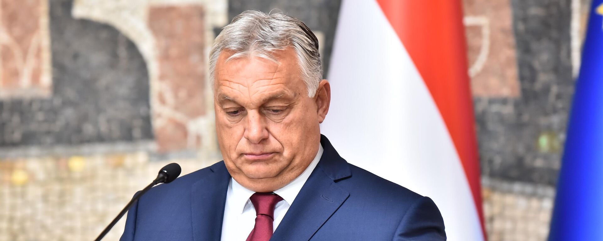 Viktor Orban - Sputnik Srbija, 1920, 02.07.2024