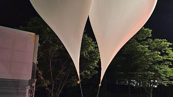 Балони са смећем у Јужној Кореји - Sputnik Србија