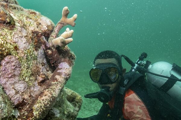 Ронилац позира поред скулптуре на којој расте корал. - Sputnik Србија