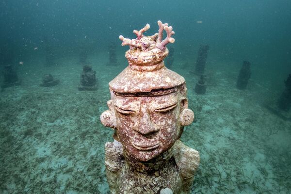 Корал извире из скулптуре у подводном музеју МУСЗИФ на Исла Фуертеу. - Sputnik Србија
