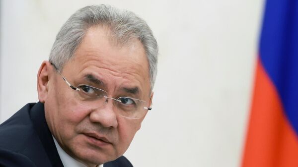 Sekretar Saveta bezbednosti Rusije Sergej Šojgu - Sputnik Srbija