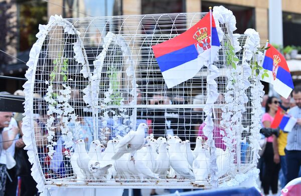 Jato belih golubova koji su pušteni nakon završetka koncerta na Trgu republike - Sputnik Srbija