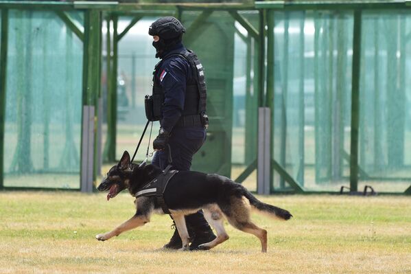 U Policijskoj brigadi imaju različite pse koje koriste za 4 namene - za traganje, za otkrivanje opojnih droga, otkrivanje eksploziva i ove koje koriste za napad i odbranu - Sputnik Srbija