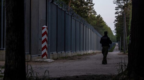 Poljski graničar patrolira duž granice sa Belorusijom - Sputnik Srbija