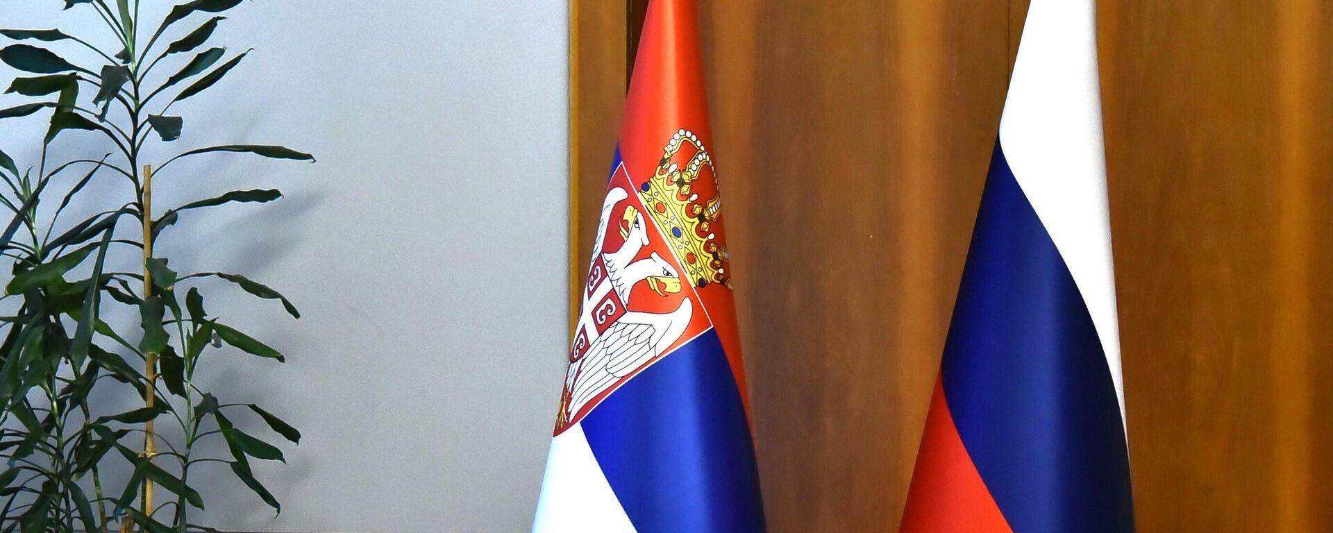 Srpska i ruska zastava Srpska i ruska zastava - Sputnik Srbija, 1920, 14.07.2025
